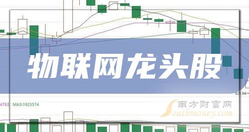 物聯(lián)網(wǎng)龍頭股與信息系統(tǒng)運(yùn)行維護(hù)服務(wù) 創(chuàng)新與韌性的雙重奏